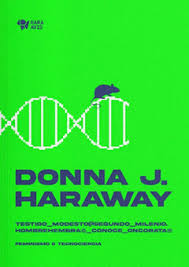 Tapa de Testigo modesto segundo milenio,